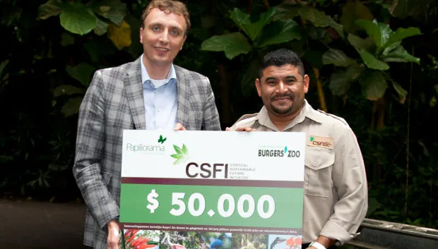 p7o617a5lmh4s6rpv9psrdjd0 belize3