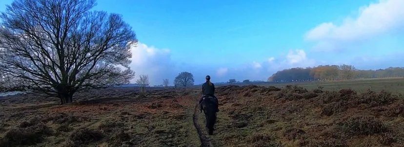 paardenpaardenvriendelijk veluwecropped omslag test 1