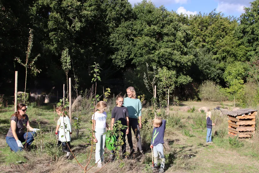 paardenspeelwei plukbos wwwplukbospaardenspeelweinl