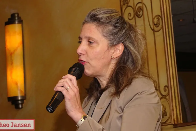 pcob cosbo gea hofstede 29 11 2018 5