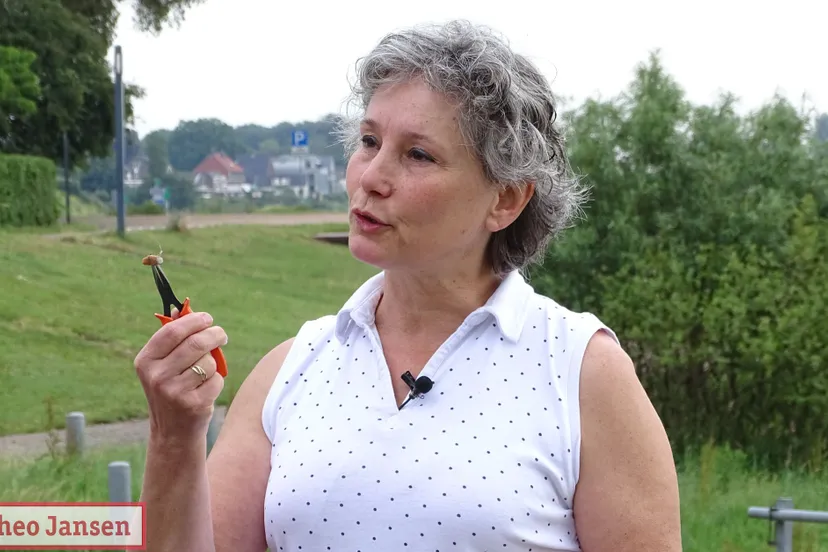 peukenmeisje 100000ste peuk 14 06 2019 19