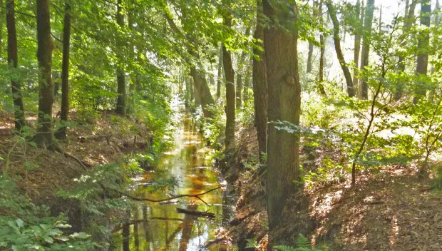 pf6qf204akananbgz3rsqnivq ivn1