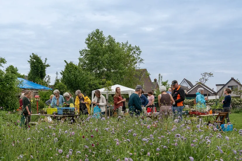 plantenruilbeurs dorpstuin rheden rietta veldhuis