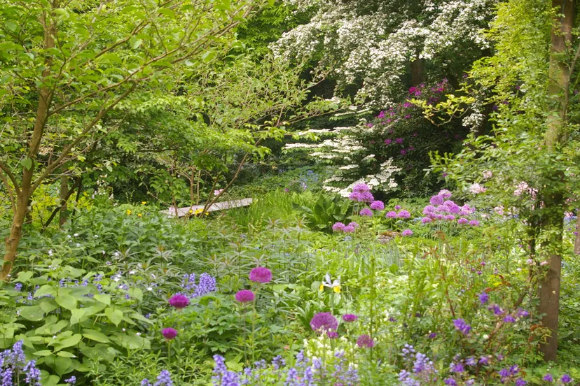 plantjesmarkt groei bloei veluwezoom tineke mkel3