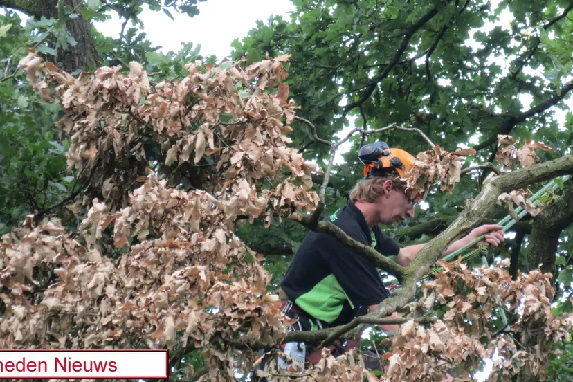 pphnrdy6lt6lvxmq2x1tolzvx 2014 07 14 camping de jutberg 001