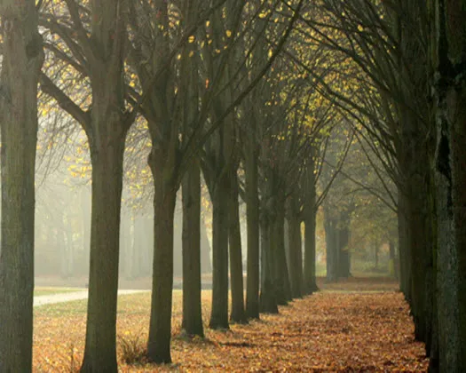 pq5zyidq78t7u5rpvj127rr8x 191920