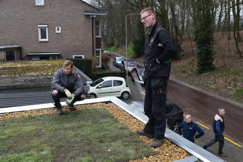 project vondellaan arnhem