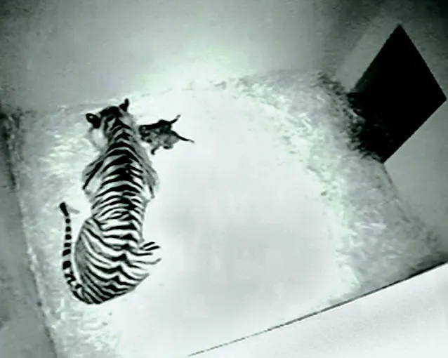 pryt3o2rz1e1wtx6um1q3uk4v 232205