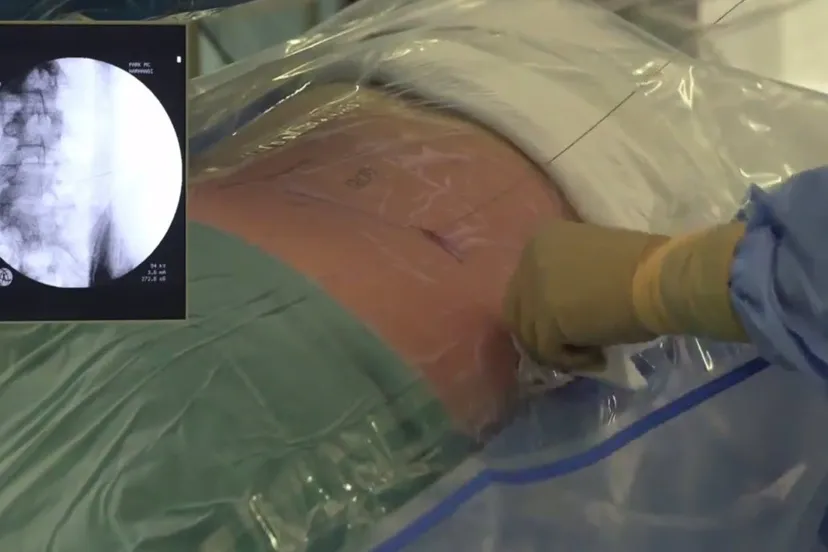 pted wwwpted studienl