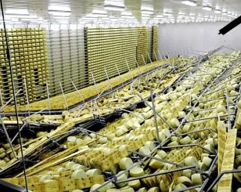 q2t1fk1b2ikiozg5rekqsergh 154583