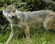 qaiykywfrnr4dspyehyx5dmd7 195175