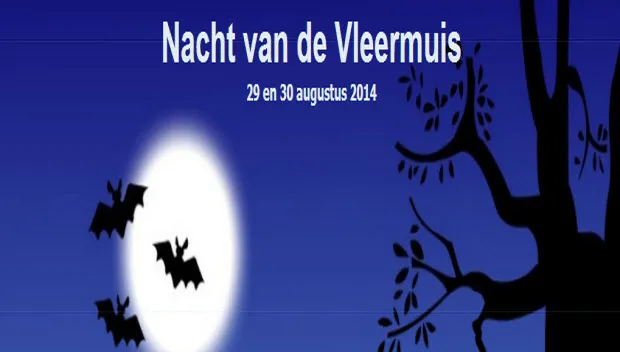 qqthv8kgoprpeaoj31fsee8mj nacht van de vleermuis