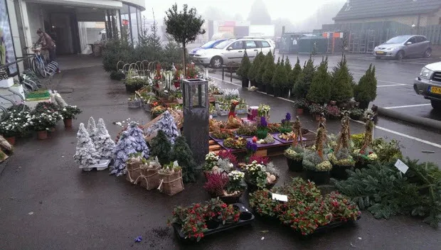 qyc952kungrm8tfplwkkdog0o kerst buiten passiebloem