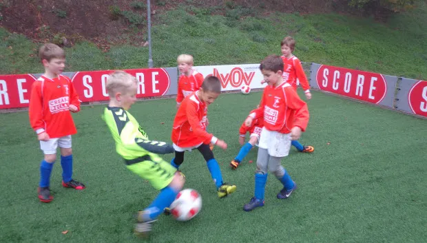 r90on81d7w5upc0jrwde3ls6p dsc028581