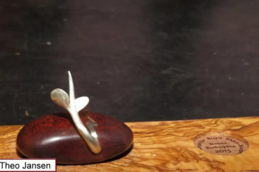 rabo burgemeester de bruinprijs