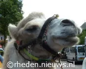 rbbzdmjauyl93ughtv65rq571 170246