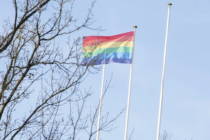 regenboogvlag gemeentehuis de steeg gemeente rheden