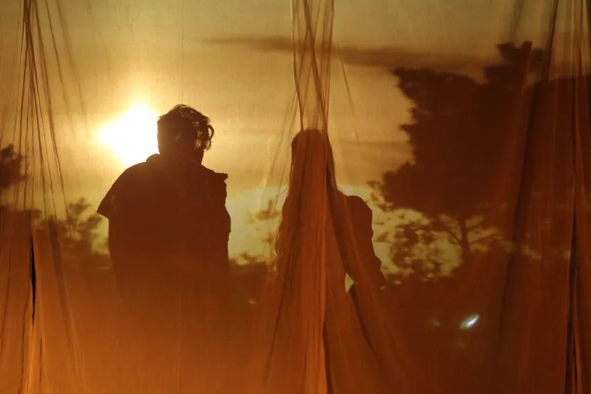 rhedelijk cultureel 2021