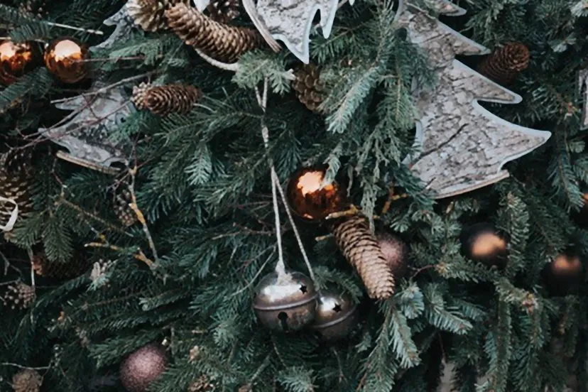 rheden eet smakelijk met kerst visualhunt