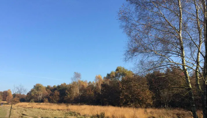 rheden eet smakelijk wild2