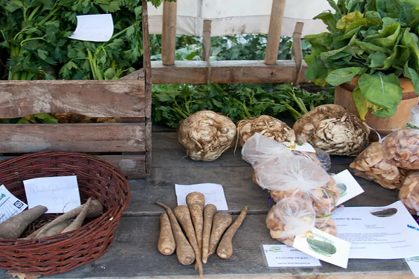 rheden nieuws eet makkelijk hans s on fotercom