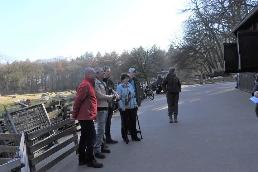 rhedens dorpsbelang 1