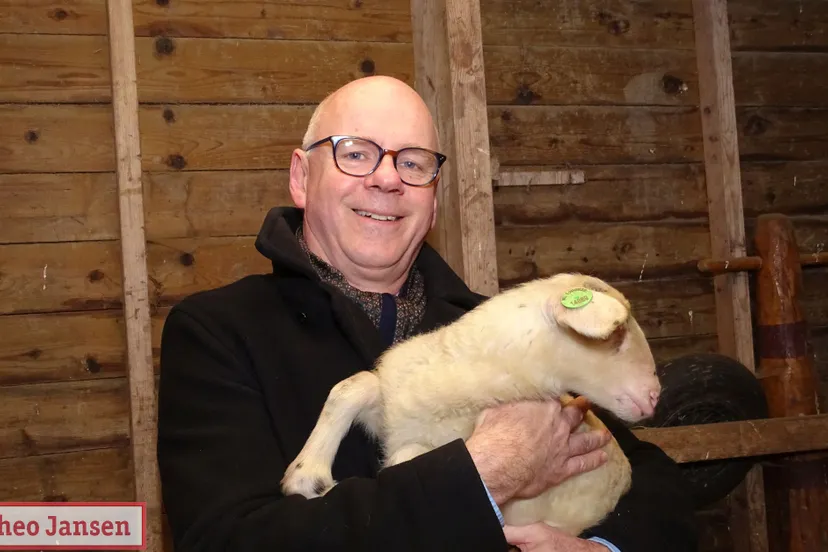 rhedens dorpsbelang adoptie 4 lammeren 2019 03 16 14