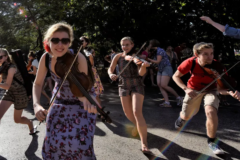 ricciotti ensemble wout nooitgedagt