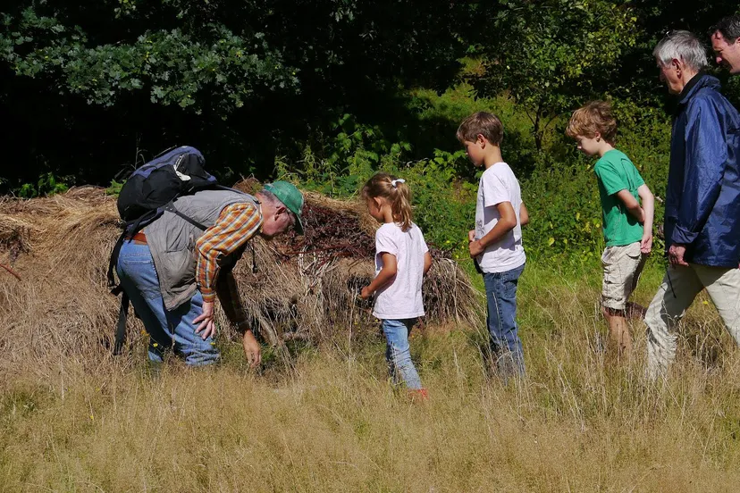 ringslangenexcursie stichting broedplaats beekhuizen