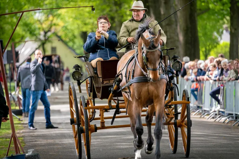 ringsteken stichting velp voor oranje
