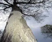 rltvcyua6hxpk3in5dawzuise 146871