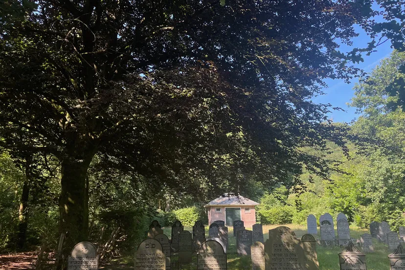 rode beuk dieren buurtbewoner2