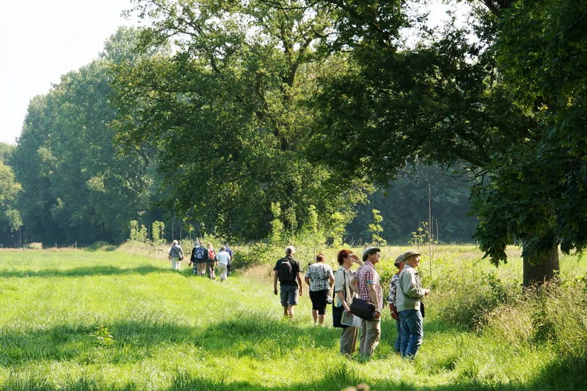 rondje laag soeren corlene van den camp