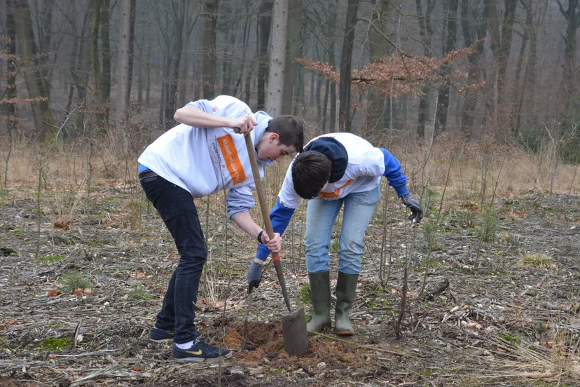 rosendael nl doet foto floor ten brink