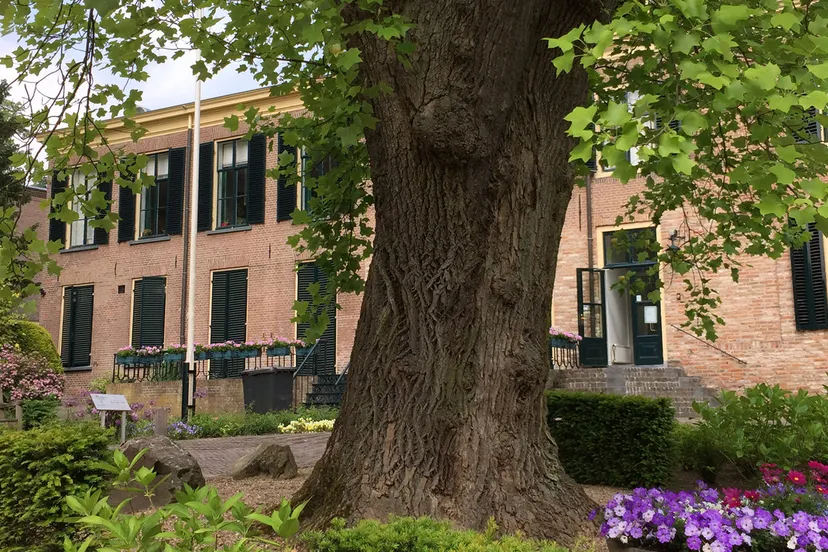 rozendaal karin otermann