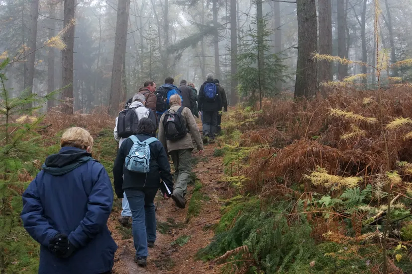 rozendaalse bos corlne van den camp