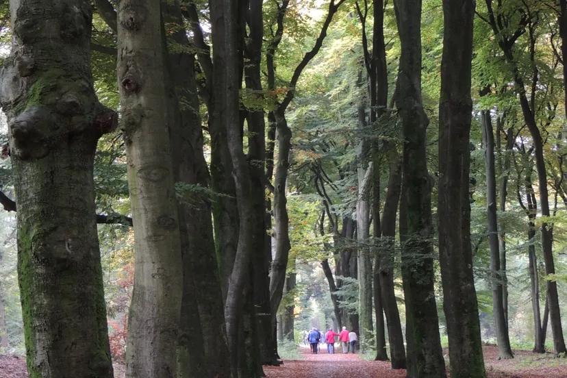 rozendaalse bos willem cramer