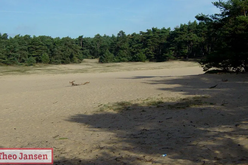 rozendaalse veld rhedennieuwsnl 1
