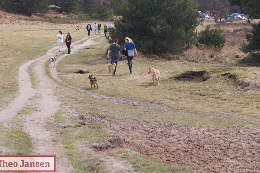 rozendaalse veld rhedennieuwsnl 2