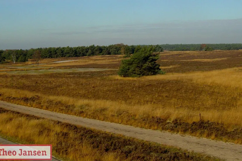 rozendaalse veld rhedennieuwsnl 3
