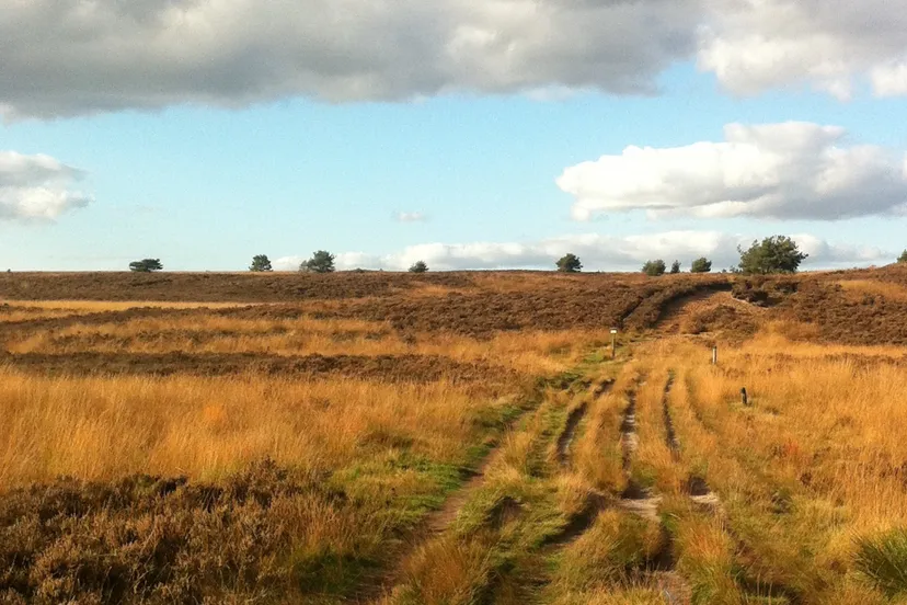 rozendaalseveld marc pluim