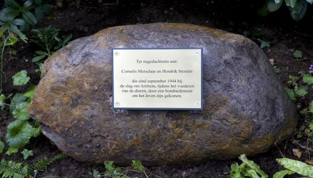 rtcmj74xir8sy43vootfnrwky herdenking 2