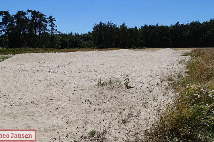 ruimte voor wensen van de buurt en woningbouw op voormalig hockeyterrein dieren1 rhedennieuwsnl