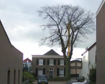 rxq8syg6hp9dbg5gwhgtg00km 215249