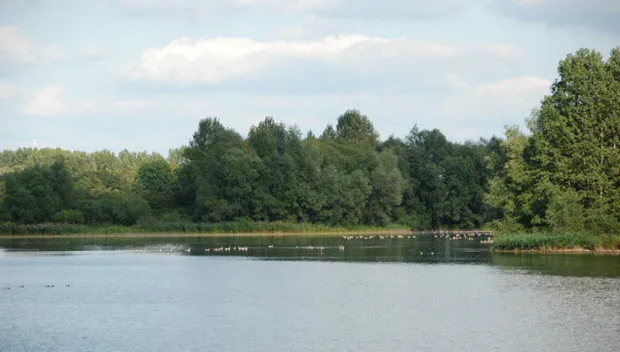 s27g7oq06z2381byxauyrm1qs havikkerwaard