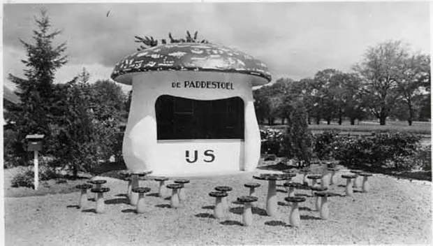 sbmopqb48edvy2xwvse48nrog paddestoel oud