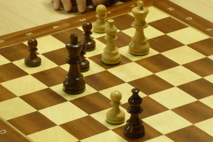 schaakkampioenschap rheden rozendaal