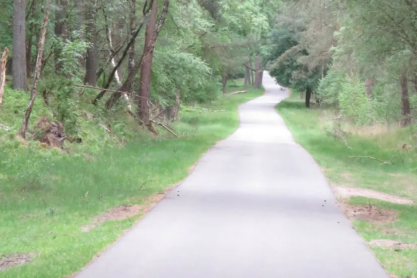 schaapsallee laag soeren1 mart van tol1