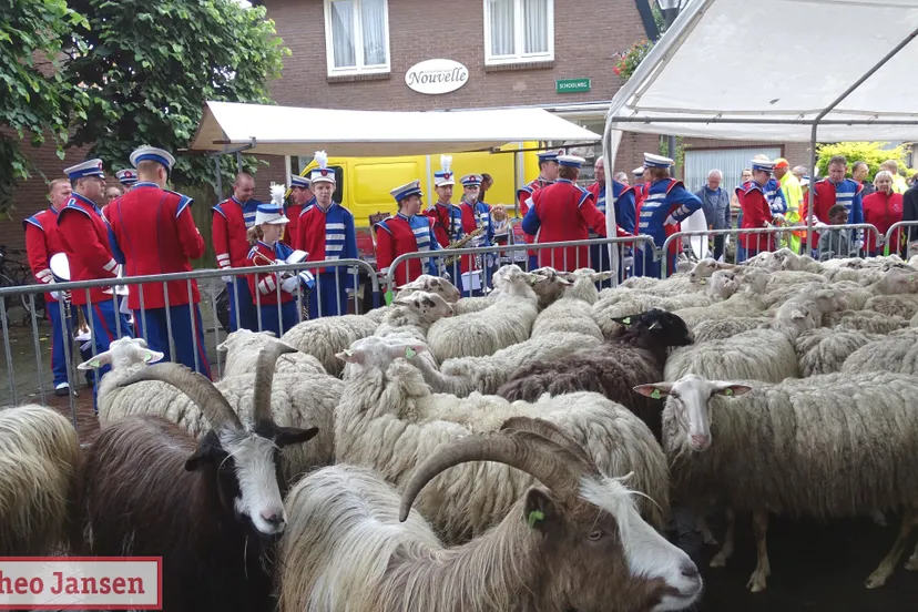 schaapscheerdersfeest 2019 19