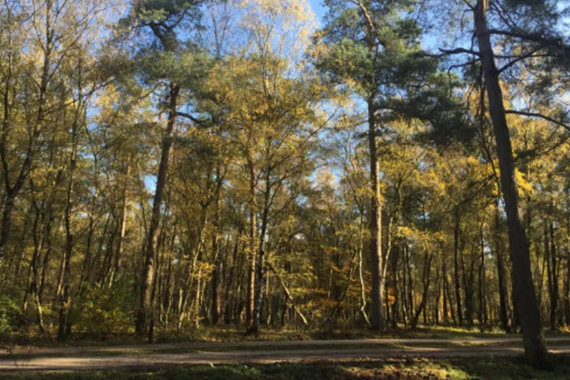 schaddevelderduinen ivn oost veluwezoom